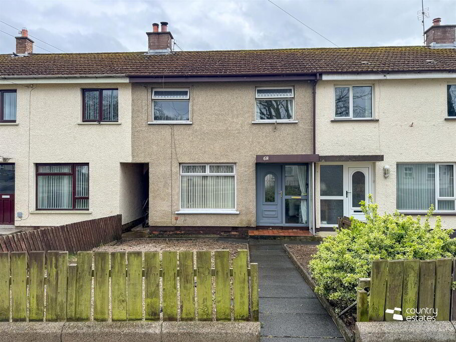 Photo 10-04-2026, 14 16 45-2.jpg