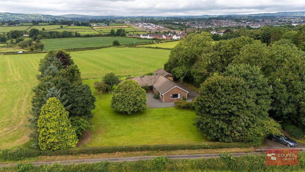 DJI_20250531125738_0855_D.jpg