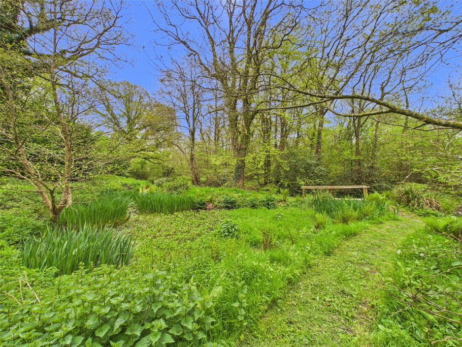 Water Meadow