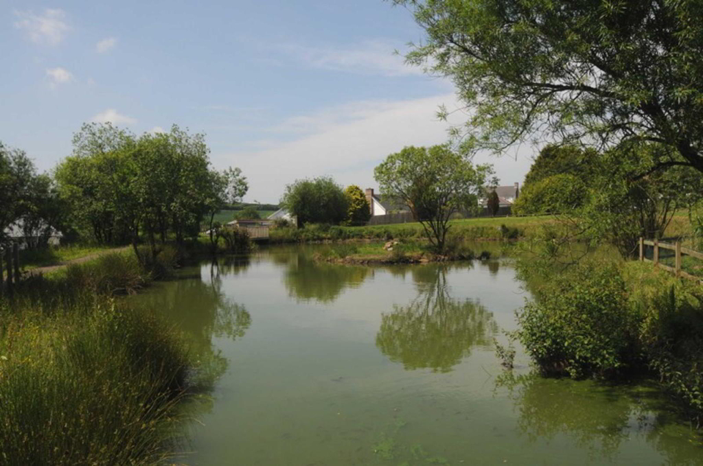 Photo 16 of Holsworthy