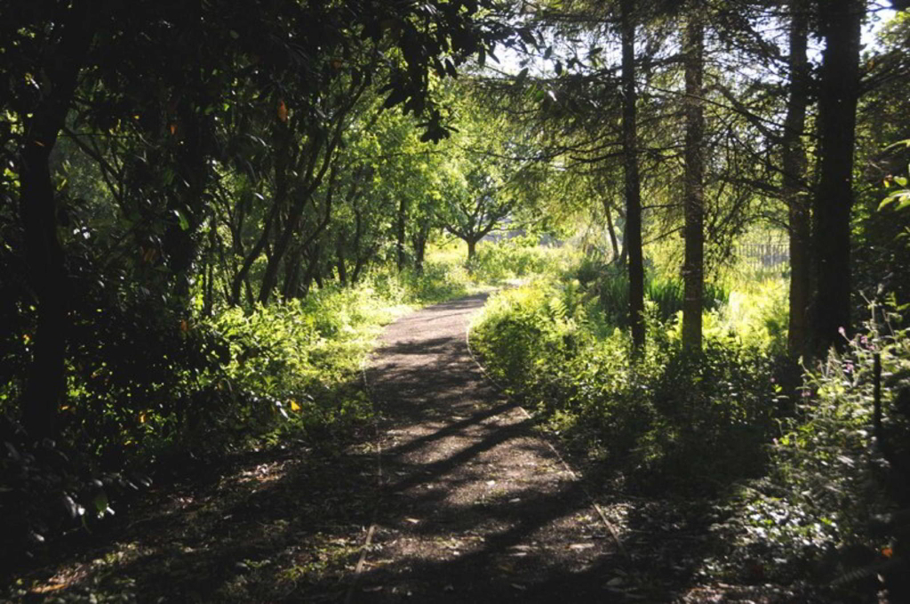 Photo 9 of Holsworthy