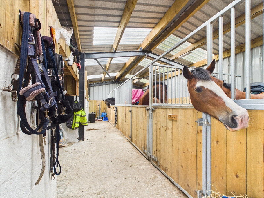 Stables