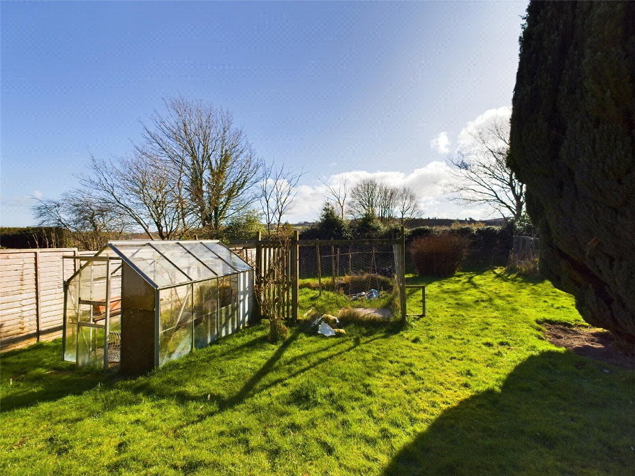 Garden 3