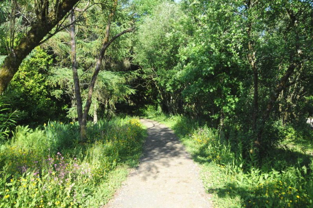 Photo 5 of Holsworthy