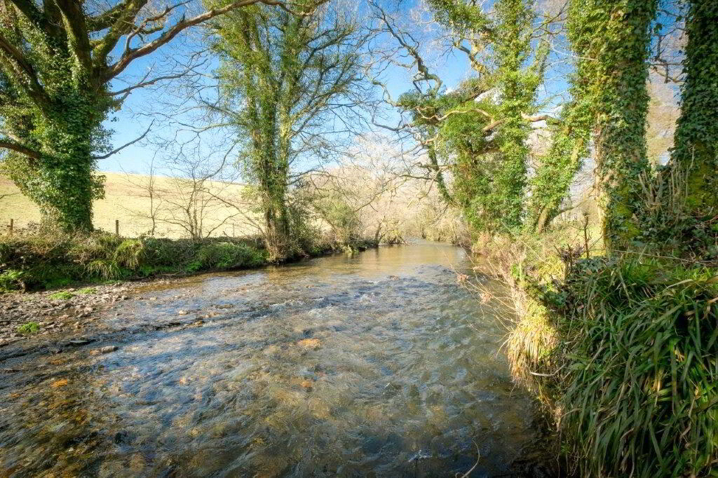 River Lyner