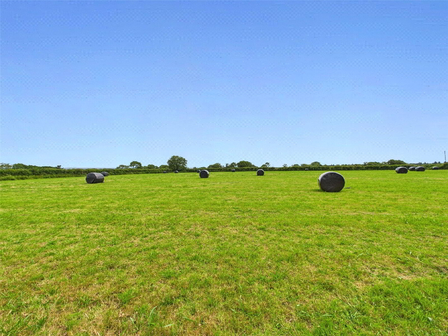 Field