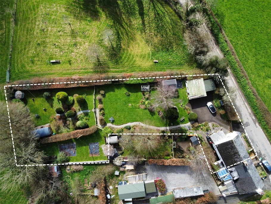 Birds Eye
