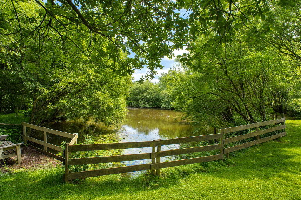 Picture No. 16
