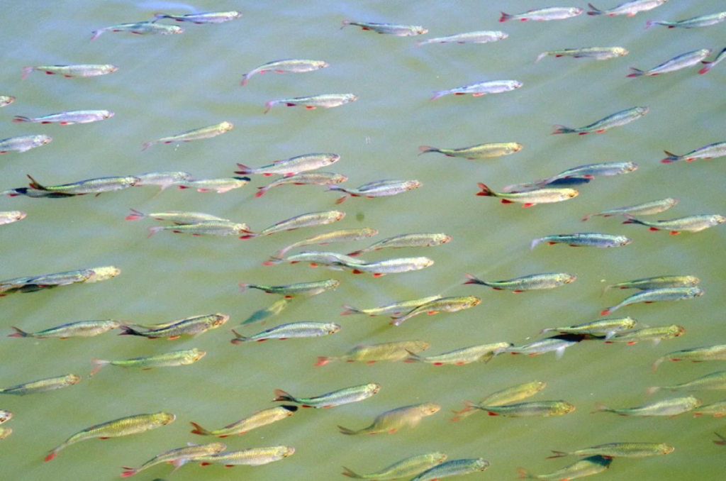 Photo 15 of Holsworthy