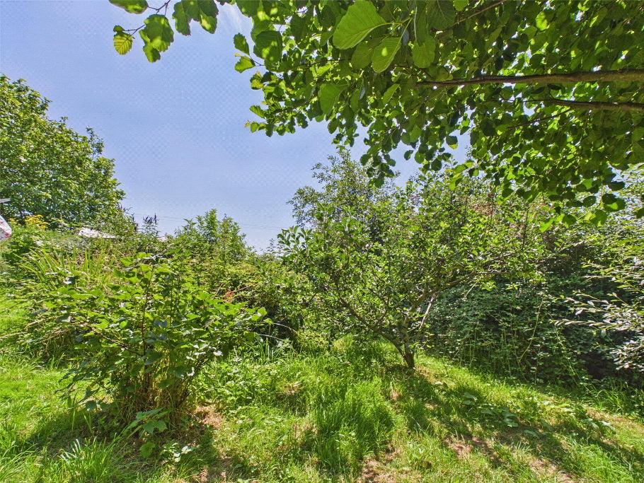 Orchard