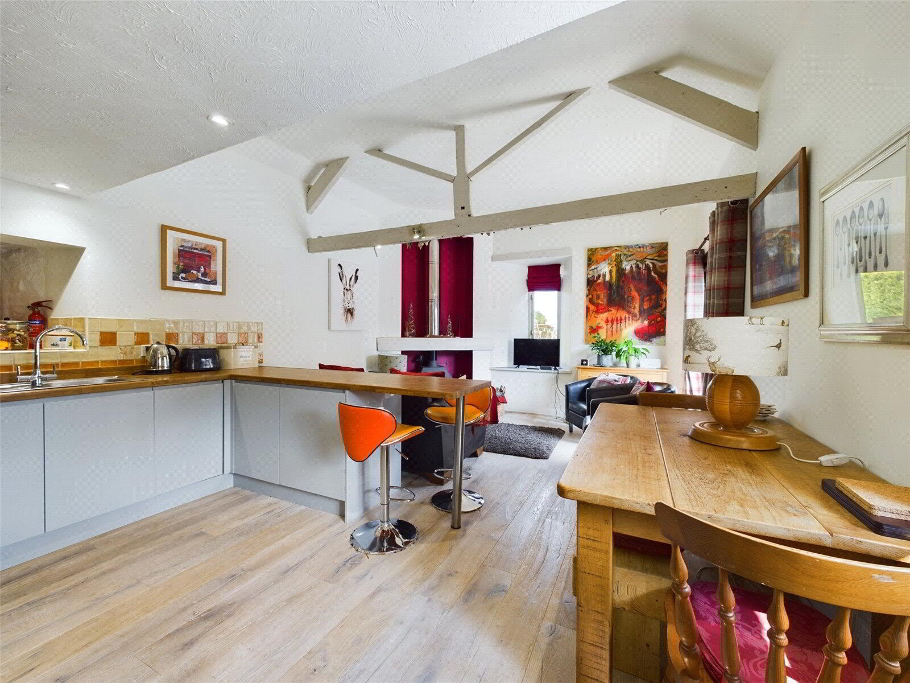 Kitcchen/Living Area