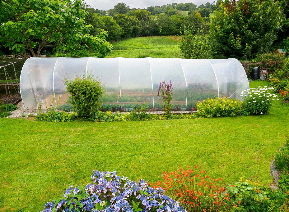 Picture No. 09
