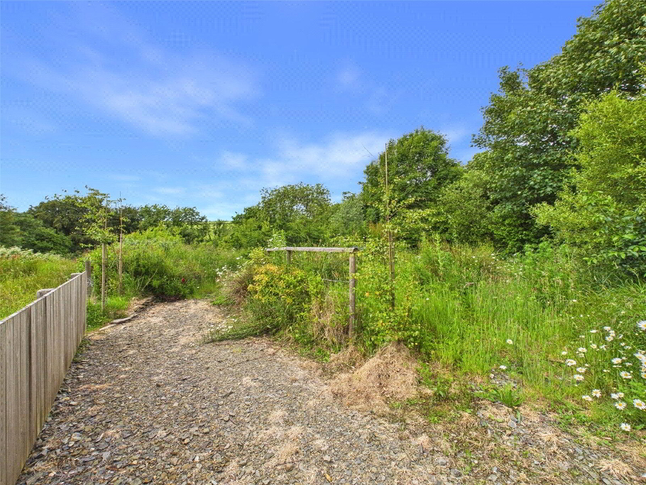 Wild Garden Area