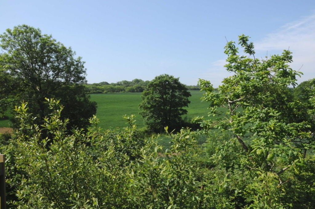 Photo 21 of Holsworthy