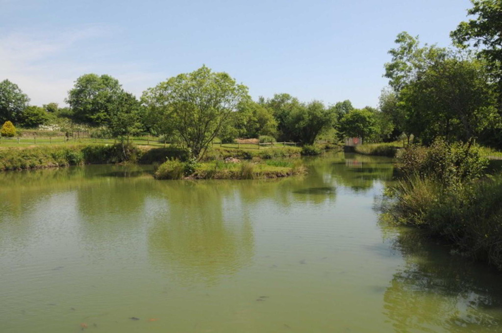 Photo 8 of Holsworthy