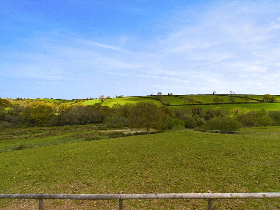Paddock View
