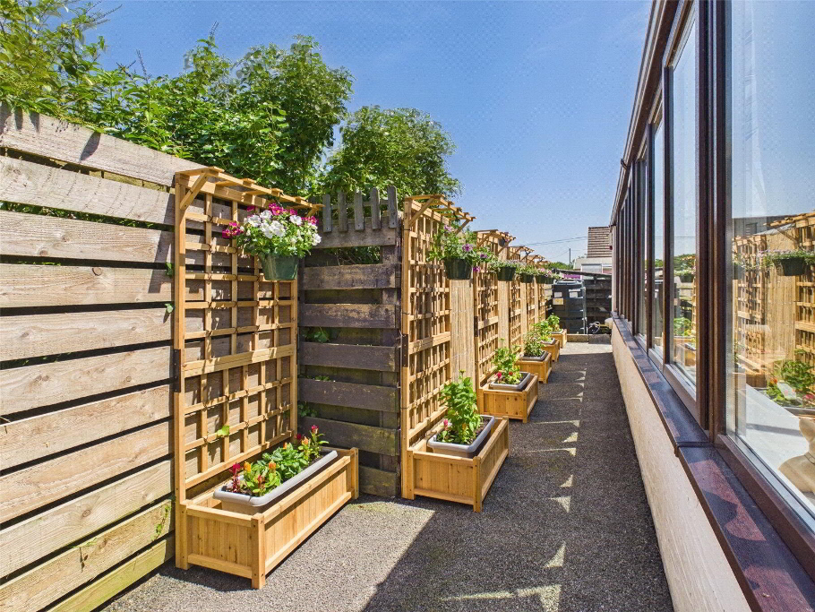 Picture No. 11