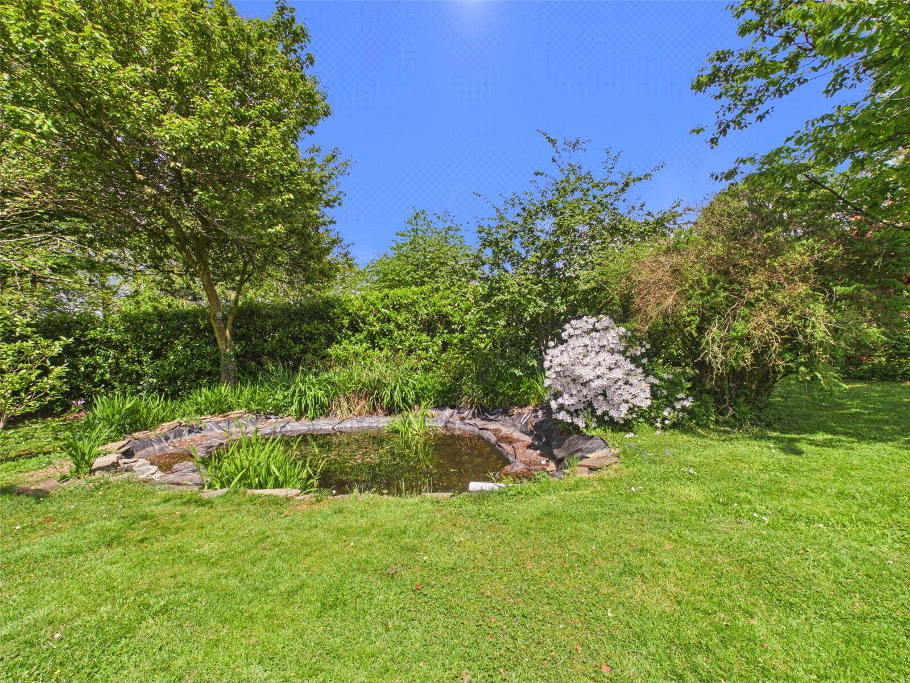 Lower Pond