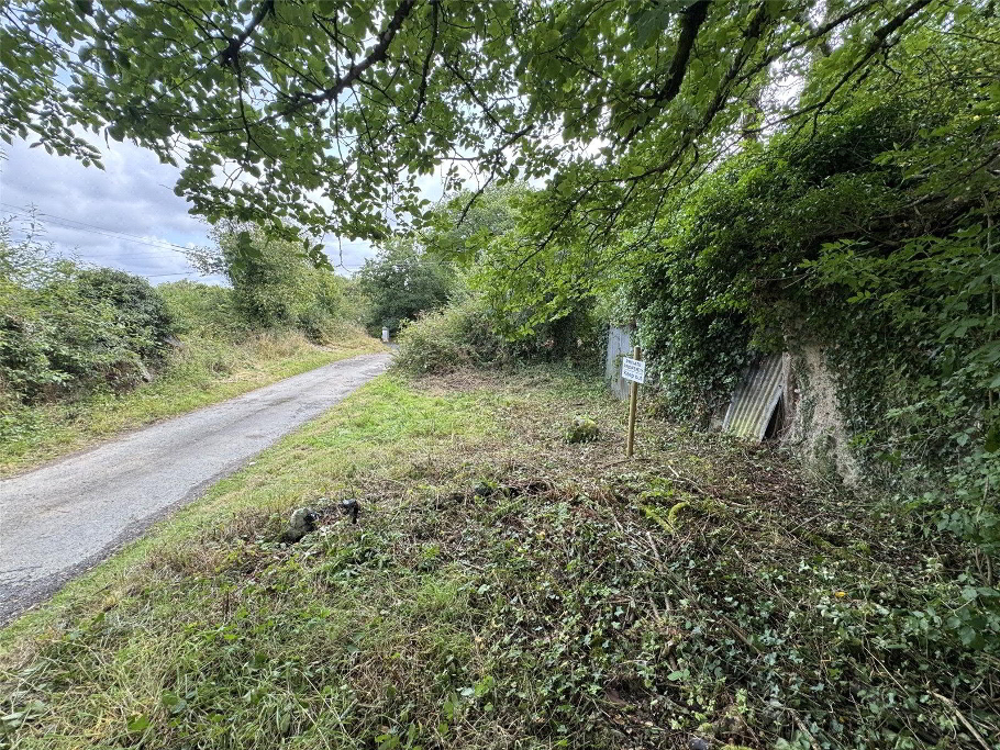 Additional Land