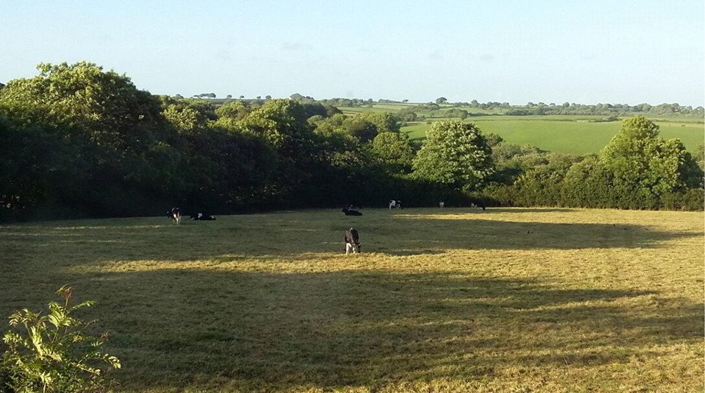 Photo 7 of Bradworthy, Holsworthy