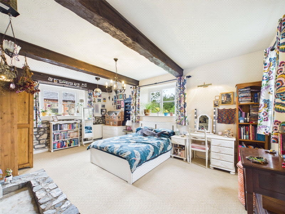 Living Room/Bedroom
