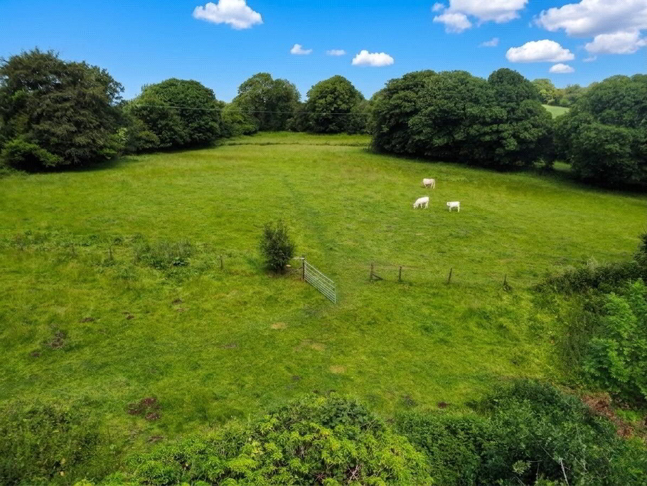 Land