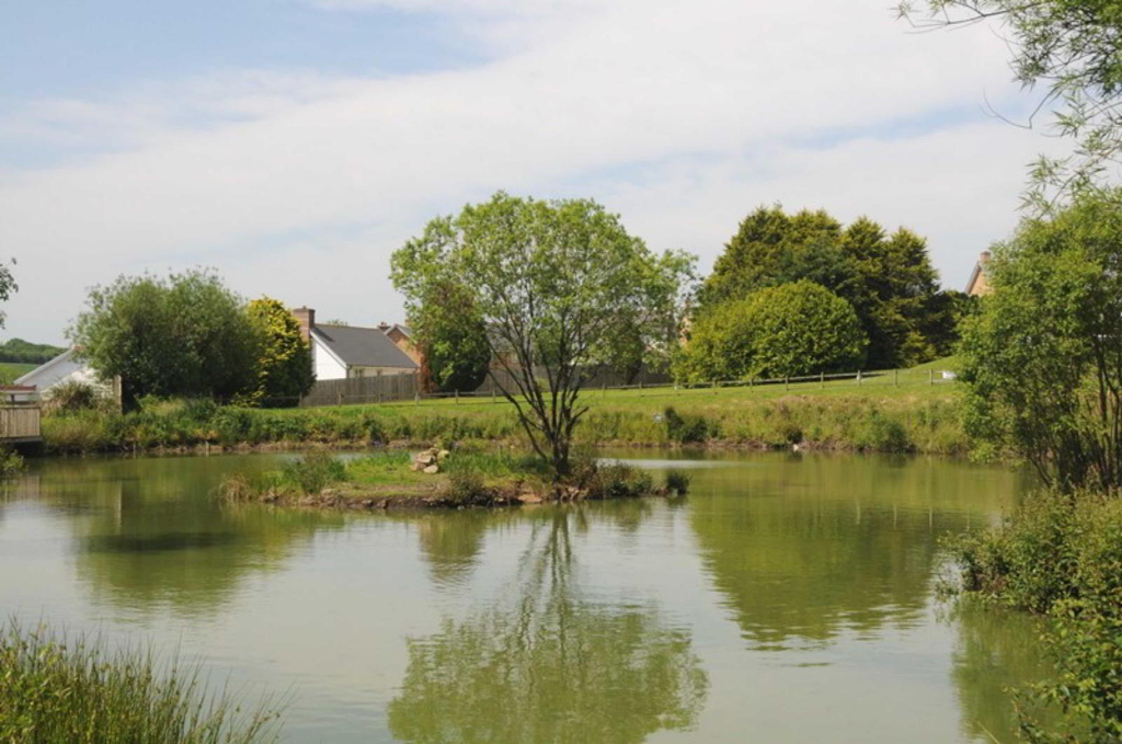 Photo 6 of Holsworthy