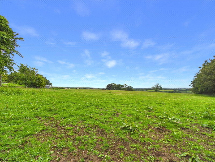 Fields