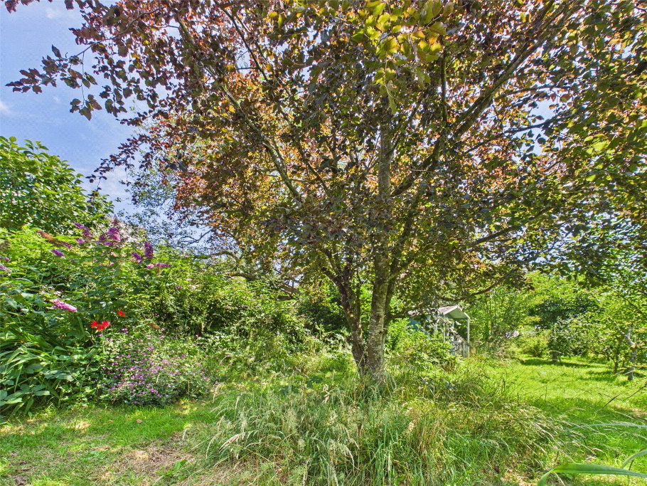 100 Ft Garden