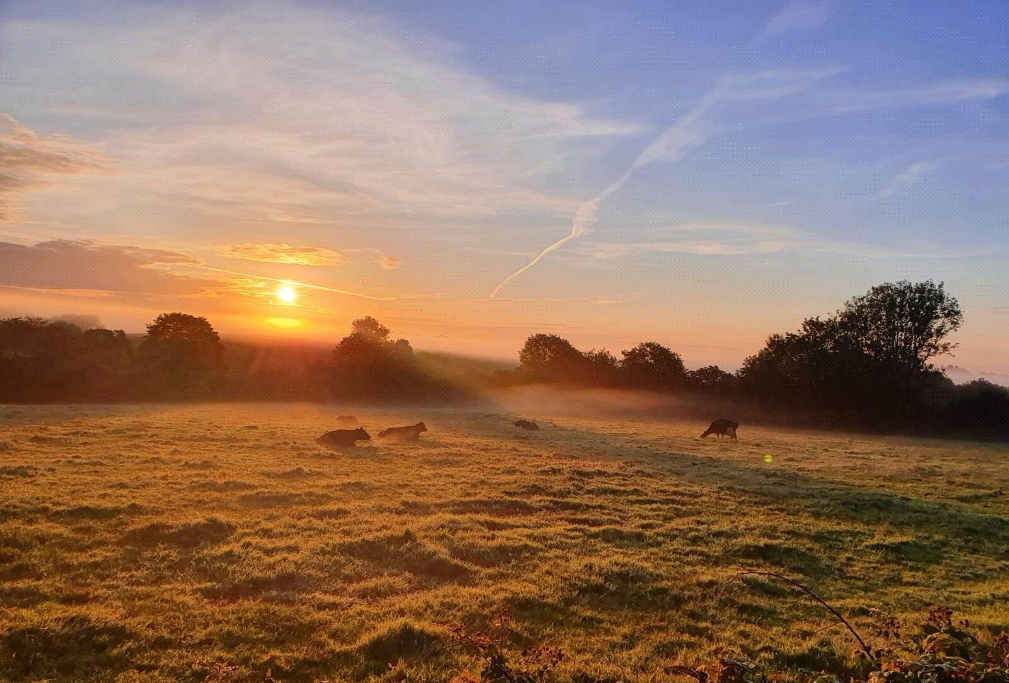 Photo 12 of Bradworthy, Holsworthy