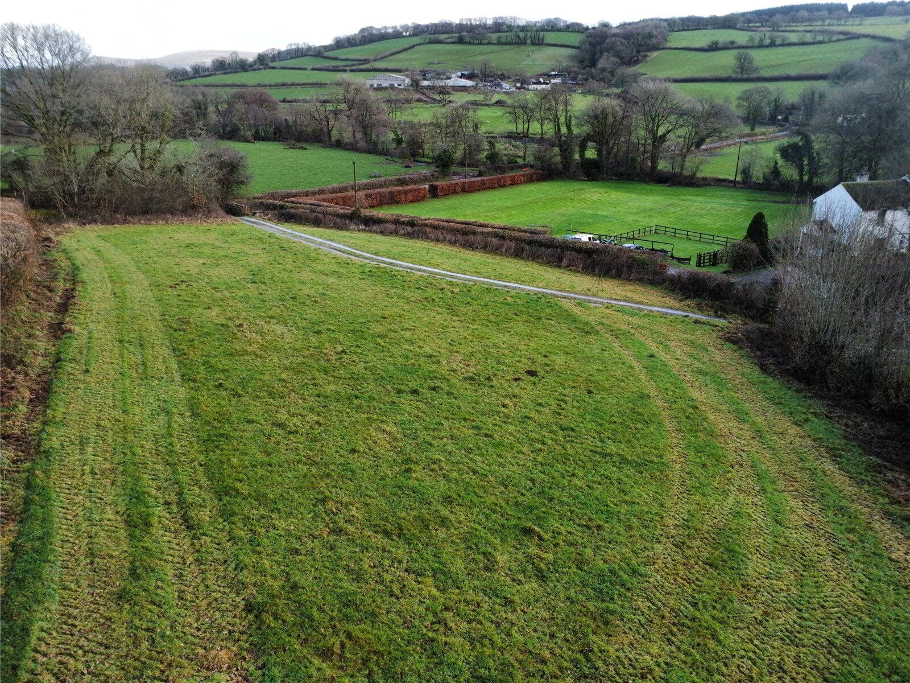 Field