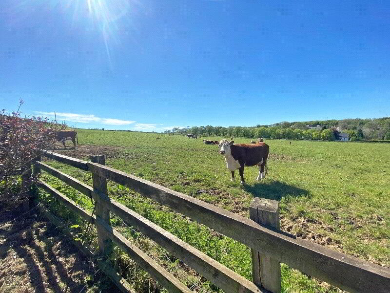 Photo 10 of Milton Damerel, Holsworthy