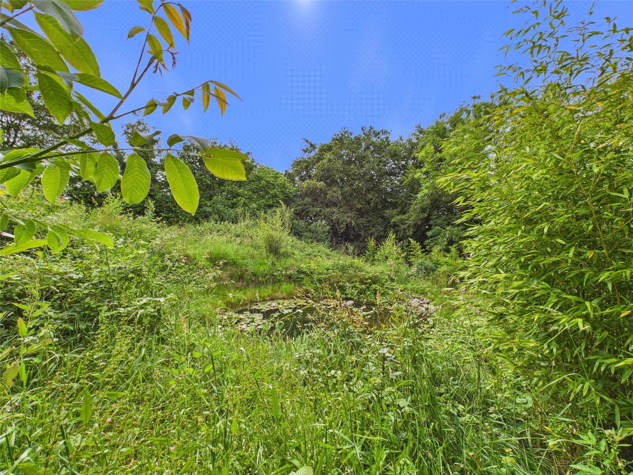Wild Garden Pond