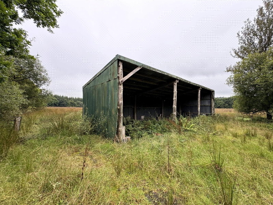Picture No. 13