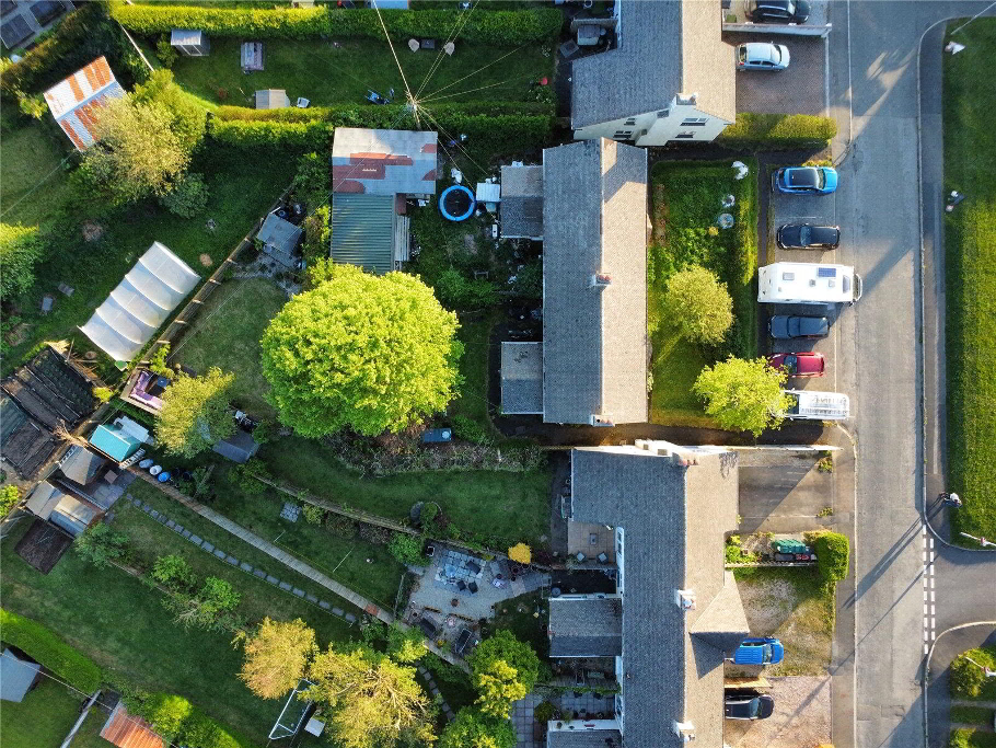 Birds Eye