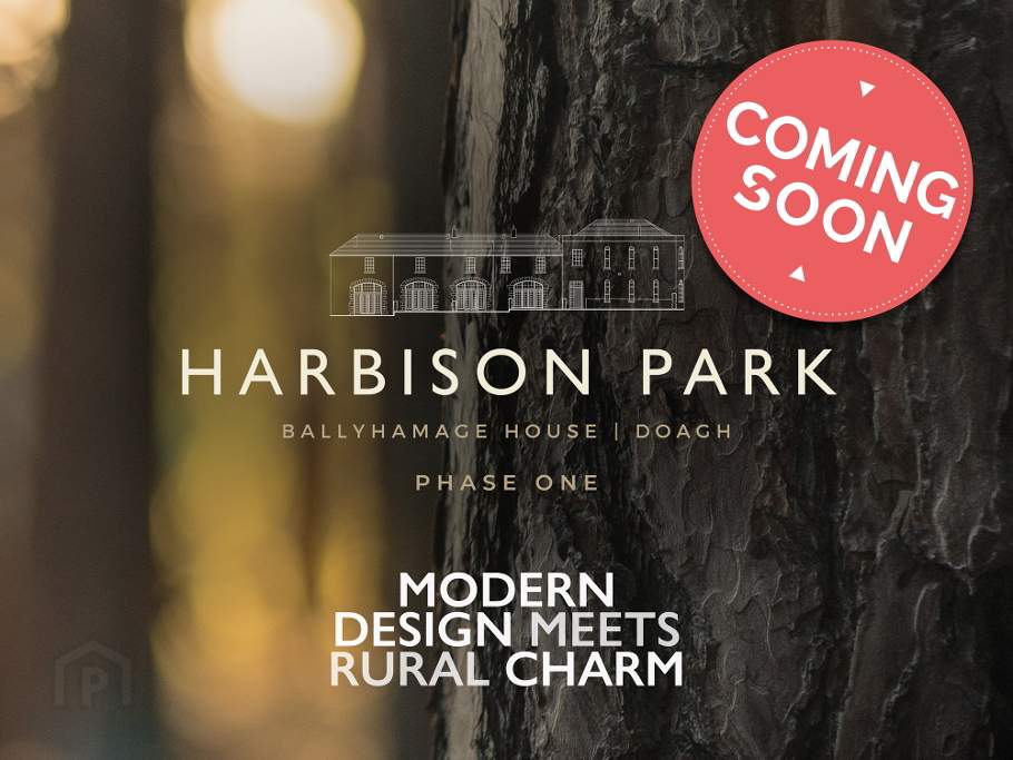 Photo 1 of Harbison Park, Doagh