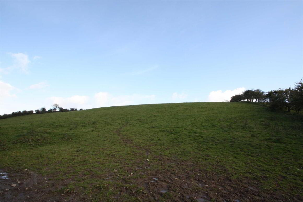 Land, Saintfield Town Hill