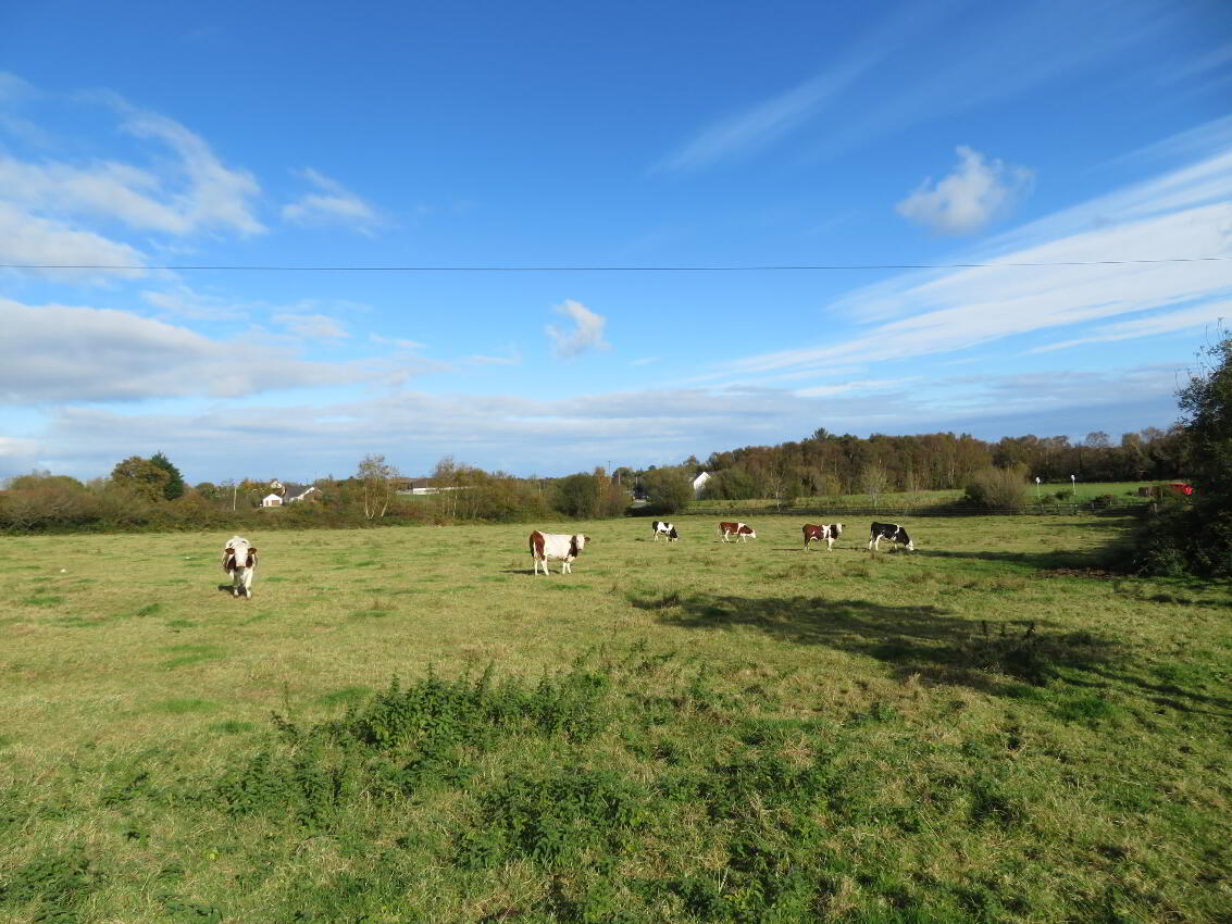 Development Lands At 20a Clonmakate Road