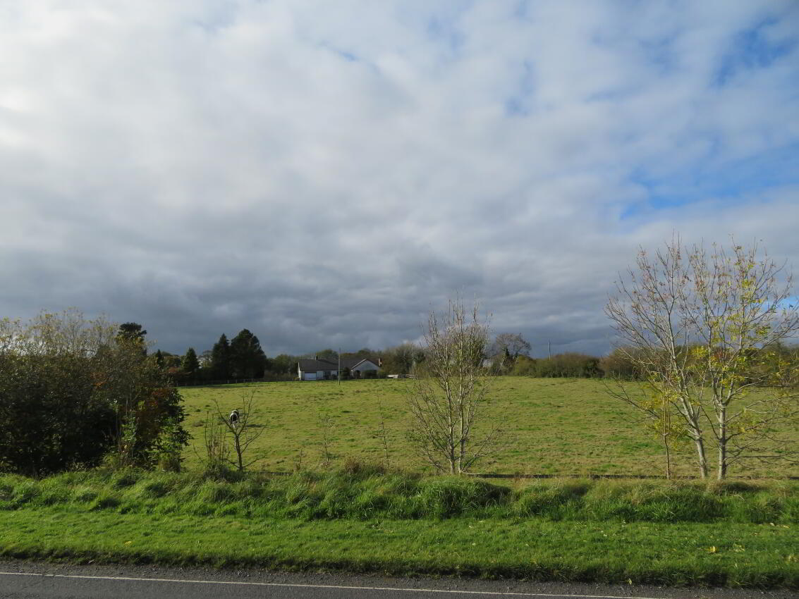 Development Lands At 20a Clonmakate Road