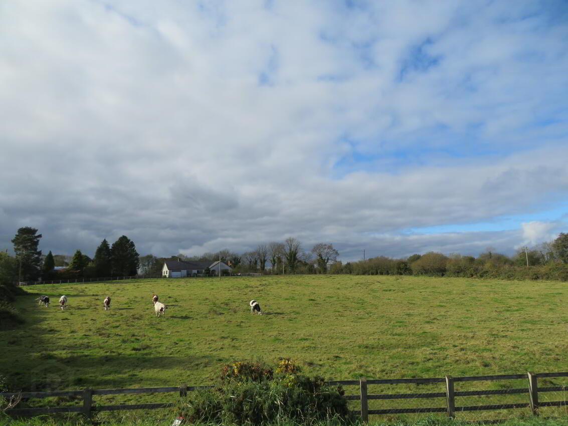 Development Lands At 20a Clonmakate Road