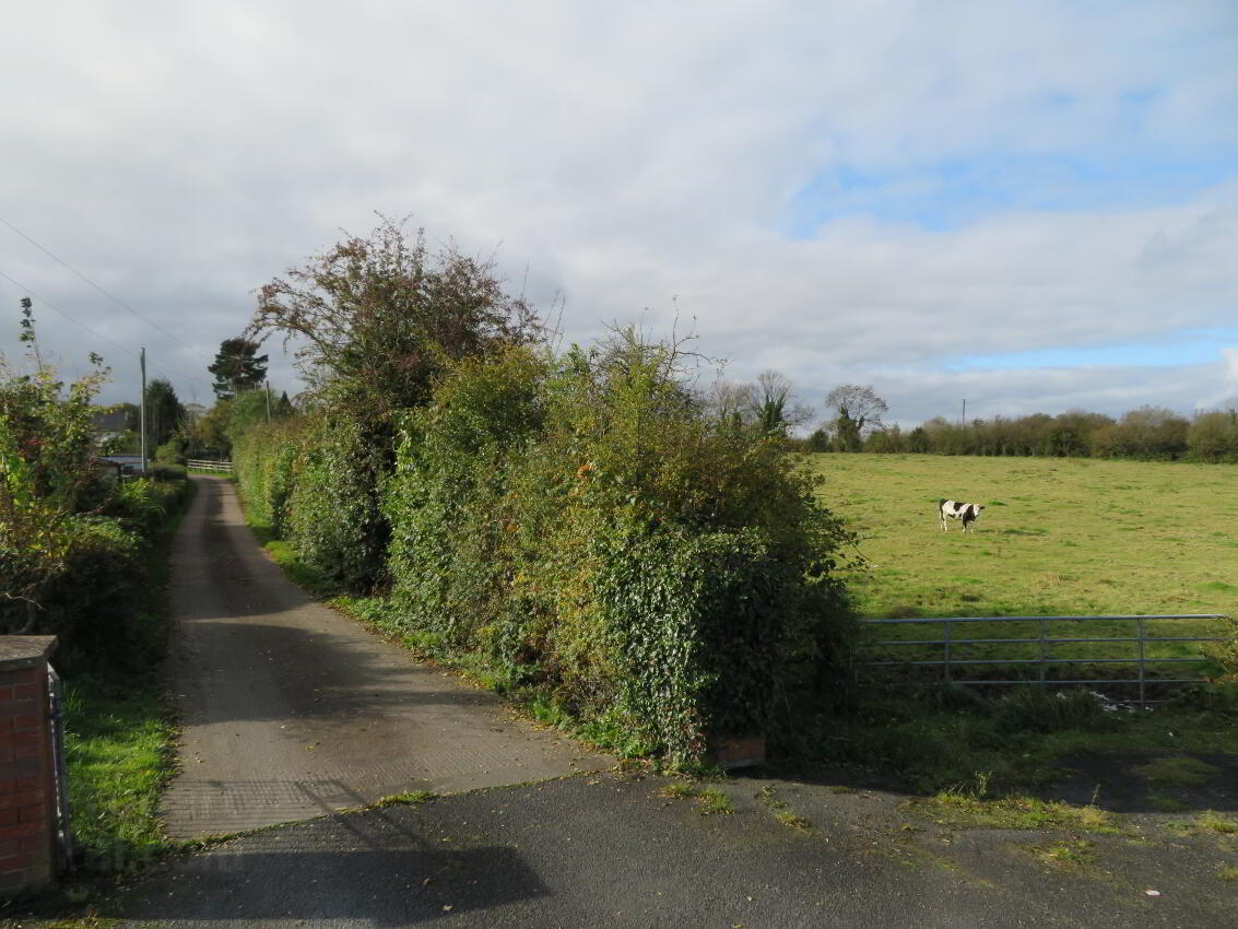 Development Lands At 20a Clonmakate Road