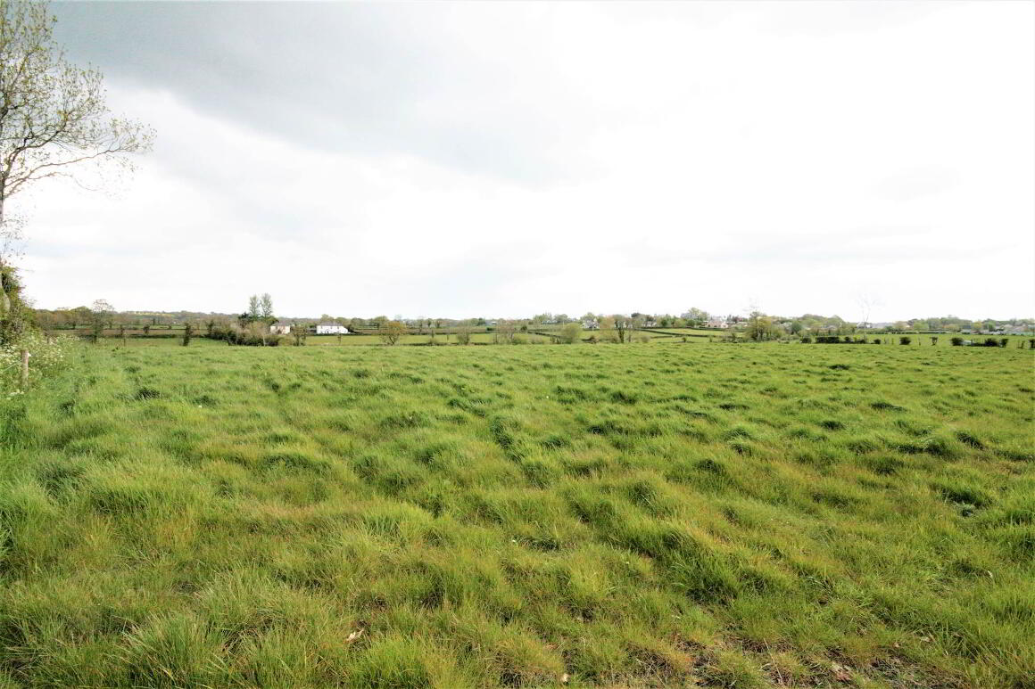 Field, C.3.7 Acres Agricultural Land