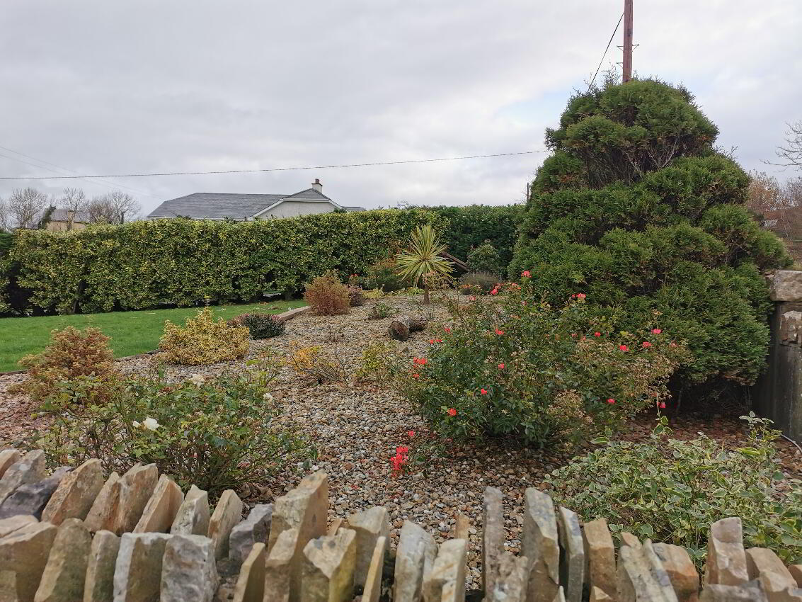 Glasbolie