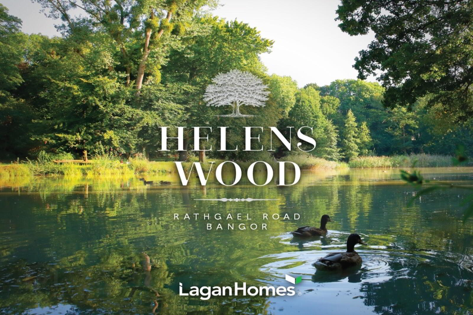 Helens Wood, Bangor