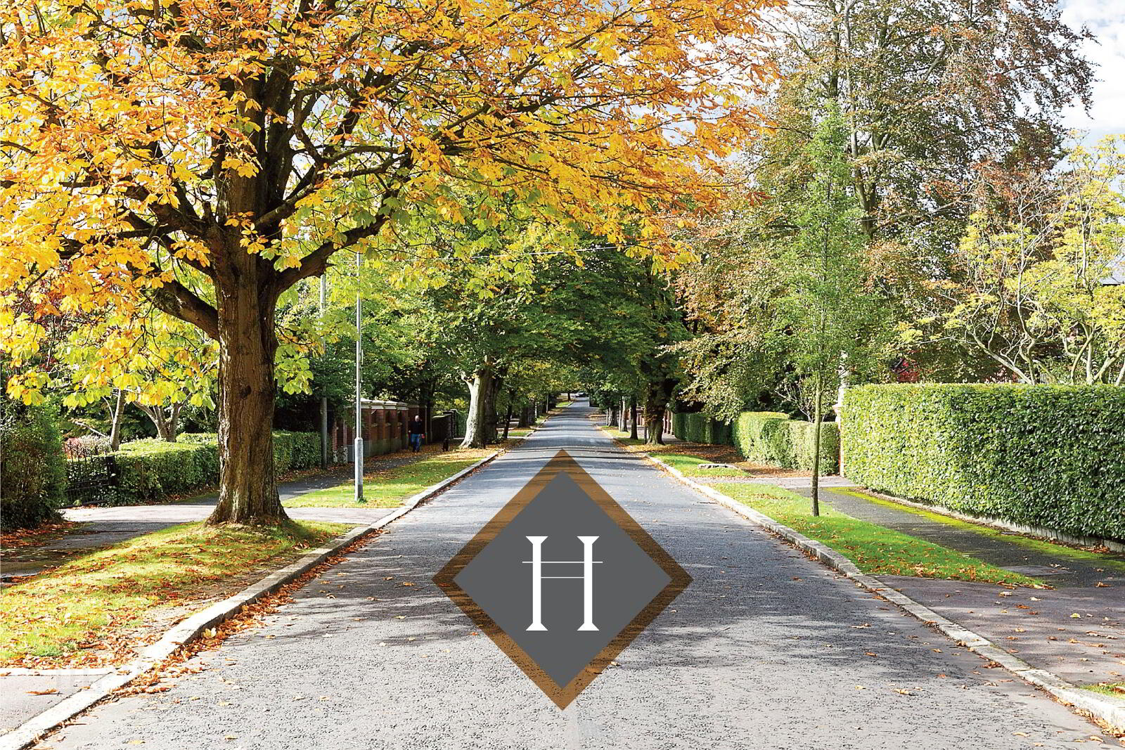 The Hamptons, Hampton Park, Belfast