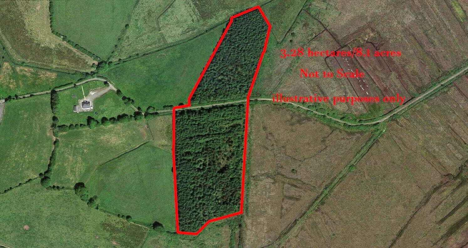 Photo 1 of Forestry At Feamore, Tulrahan