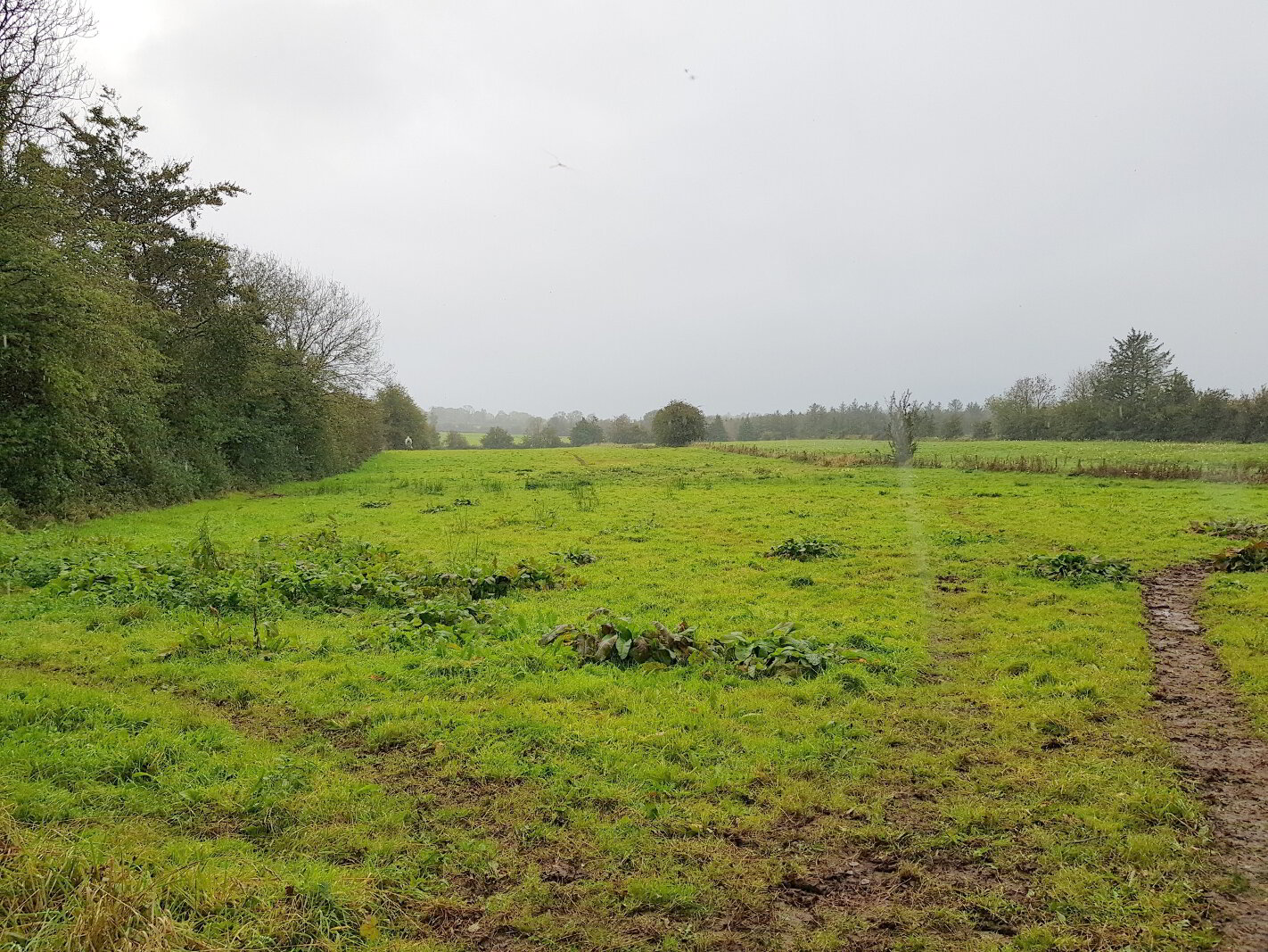 Photo 1 of Ballywire Kilross, Emly