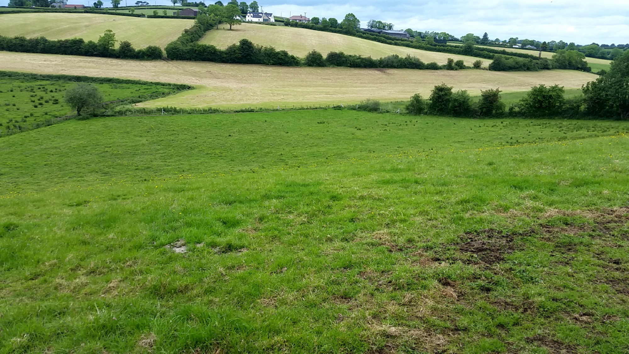Photo 1 of Lands At Old Caulfield Road, Dungannon