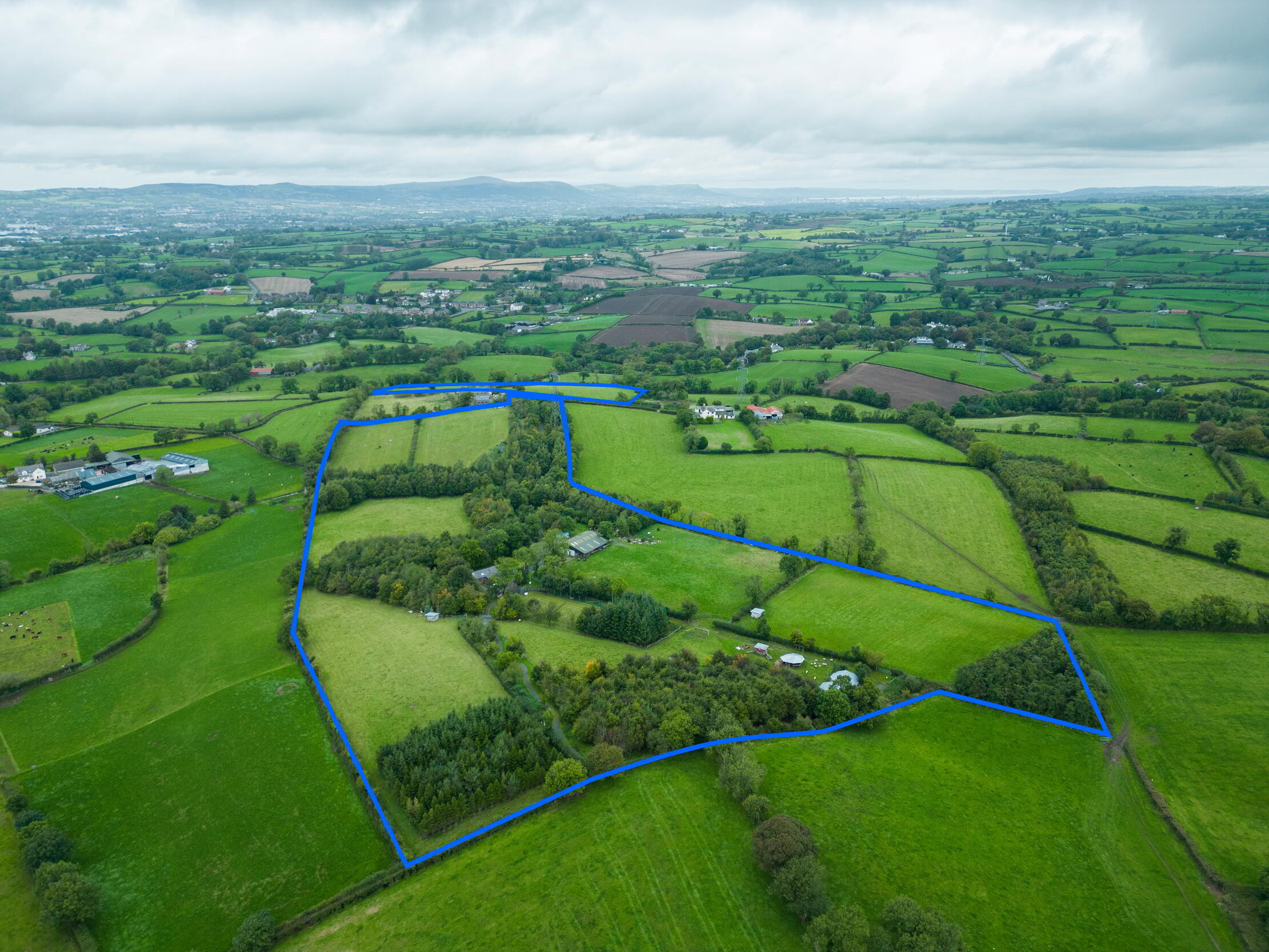 Photo 1 of 31 Cabra Road, Hillsborough