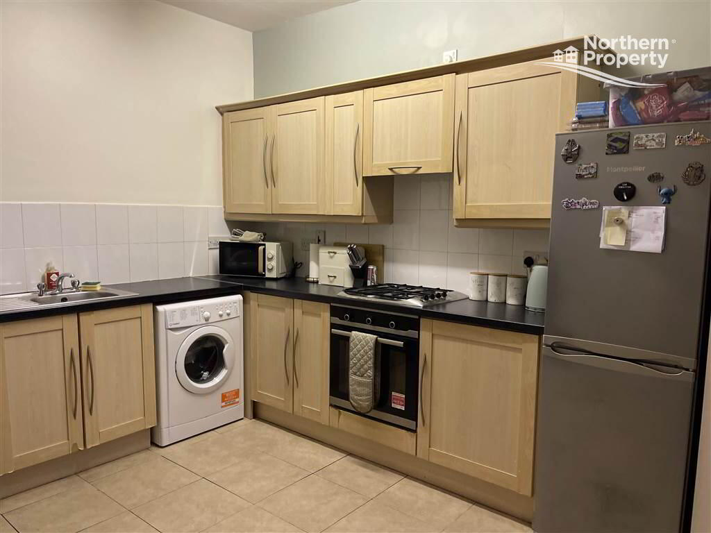Photo 8 of 20 Harrogate Street, Belfast